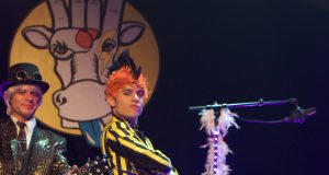 Photo La vache qui rock